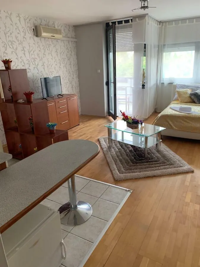 Riverside Apartment Budapest Hungary